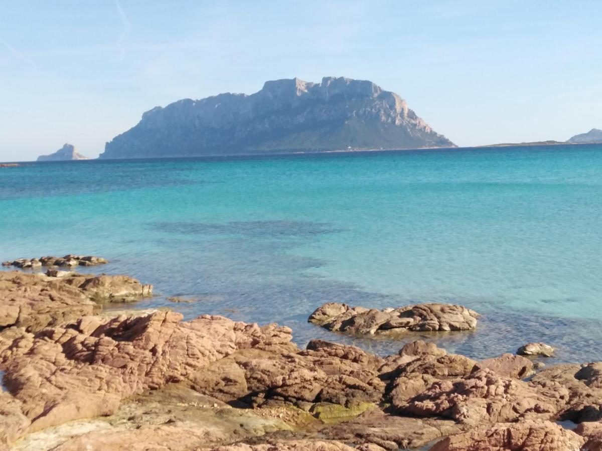 Aria Di Vacanza - Gelsi Olbia Exterior photo